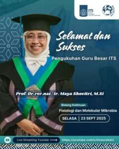 prof. maya