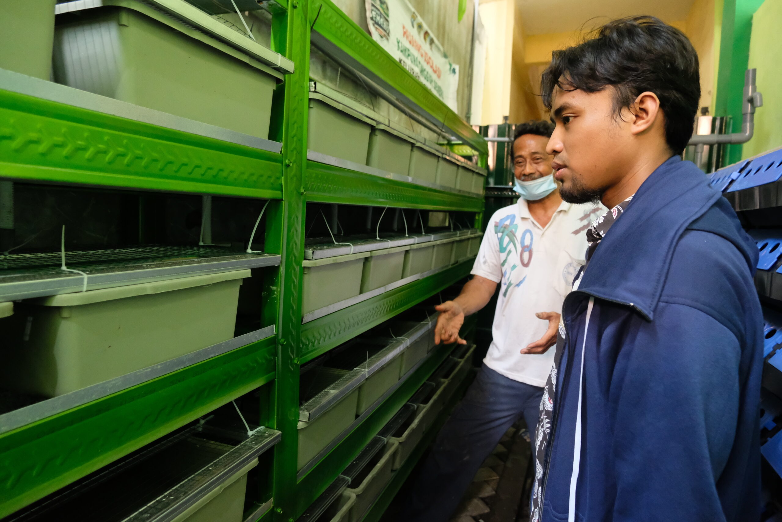 Gambar tim dari ITS melakukan monitoring dan evaluasi (monev) rutin pada apartemen kepiting milik kampung nelayan