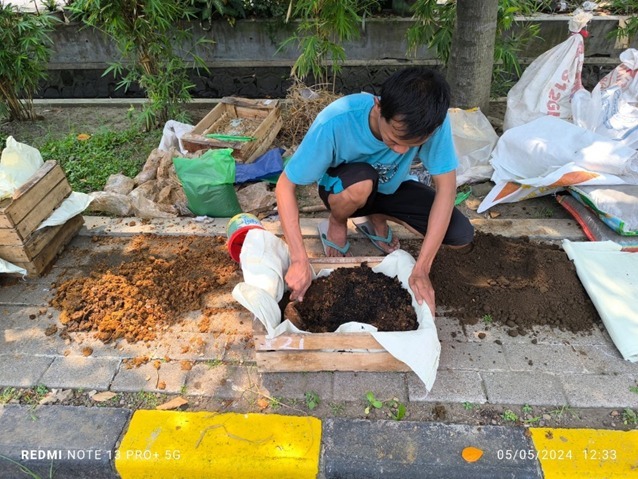 Proses pencampuran limbah baglog dengan tanah taman dan pupuk kompos sebagai media budidaya cacing