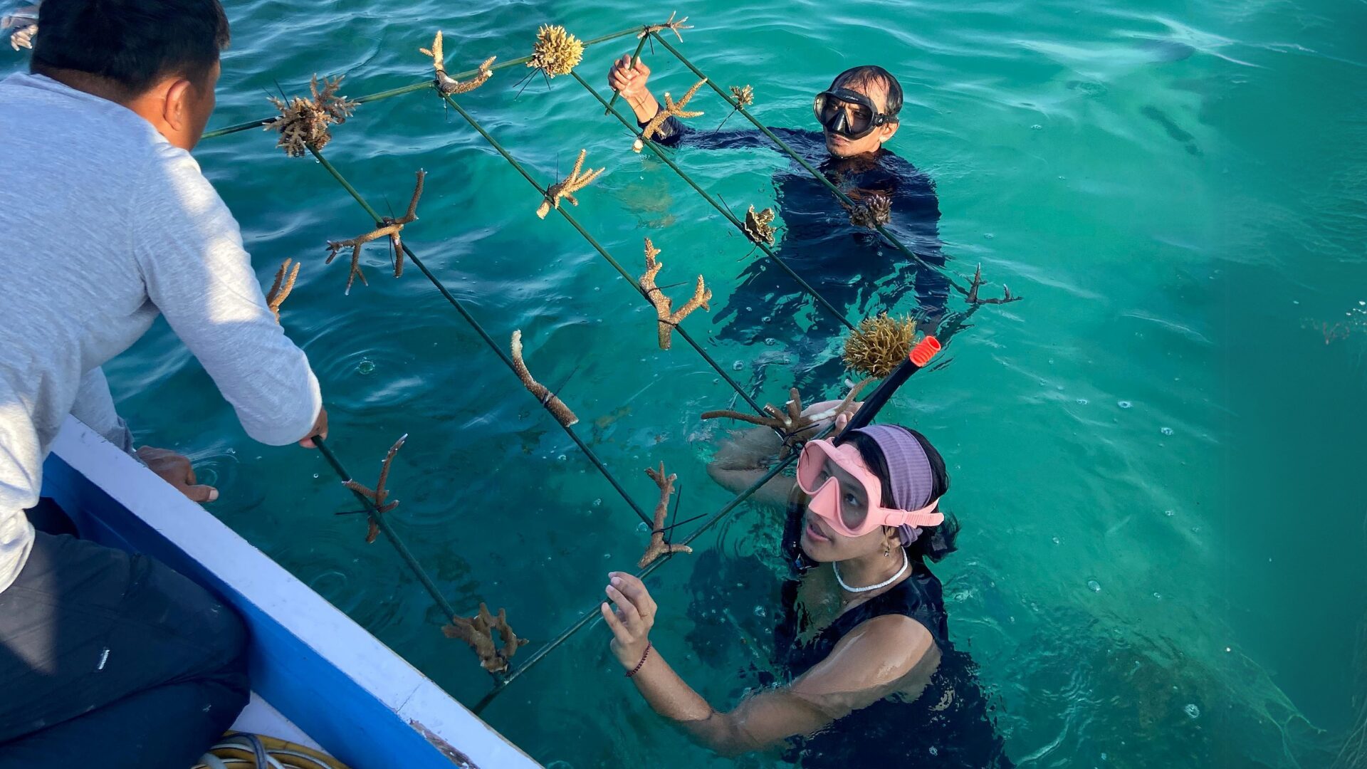 Foto Pesera aksi restorasi terumbu karang saat melakukan transplantasi karang di perairan Gili Nako