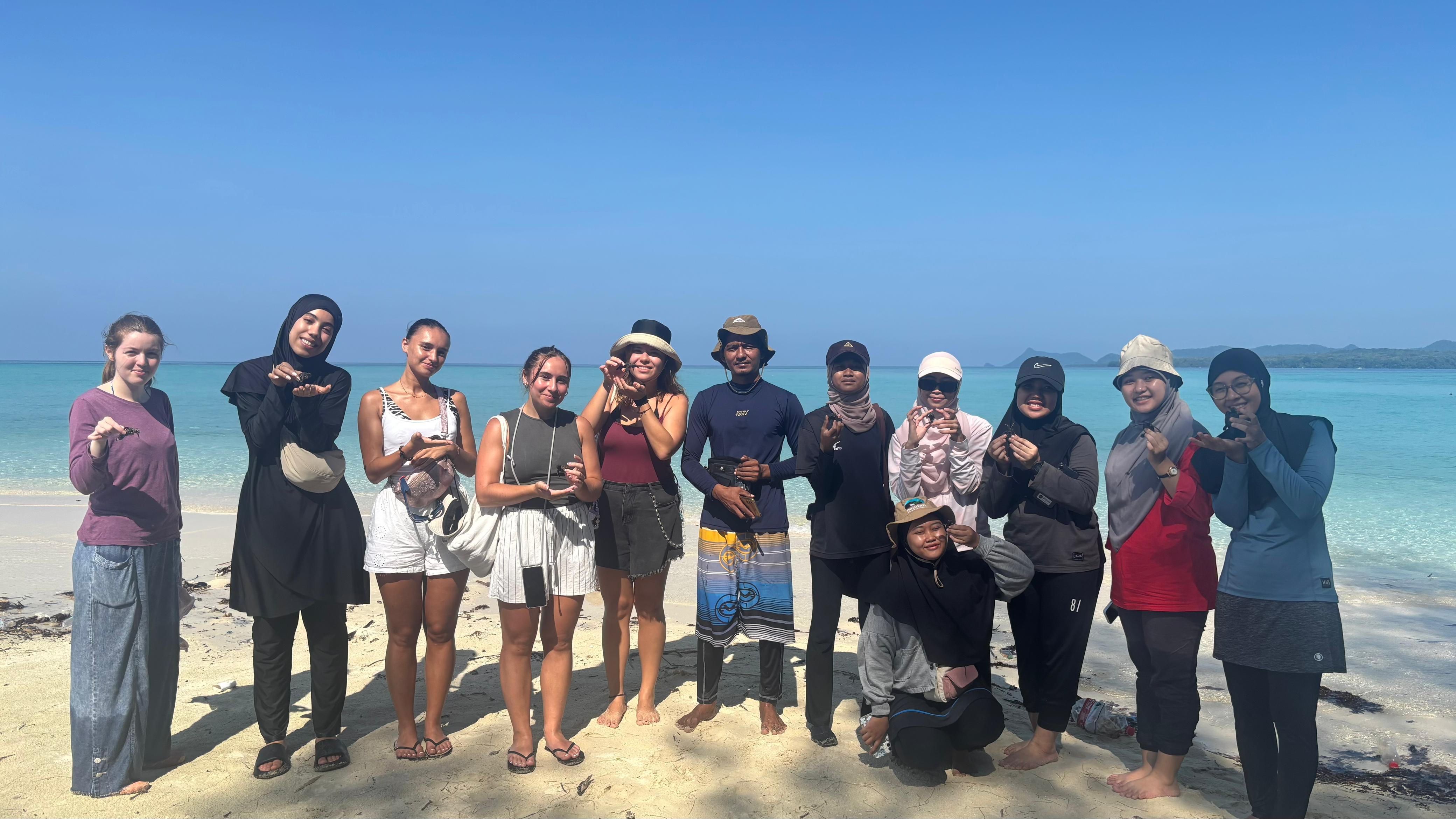 Pelepasan tukik ke habitat aslinya di Gili Noko