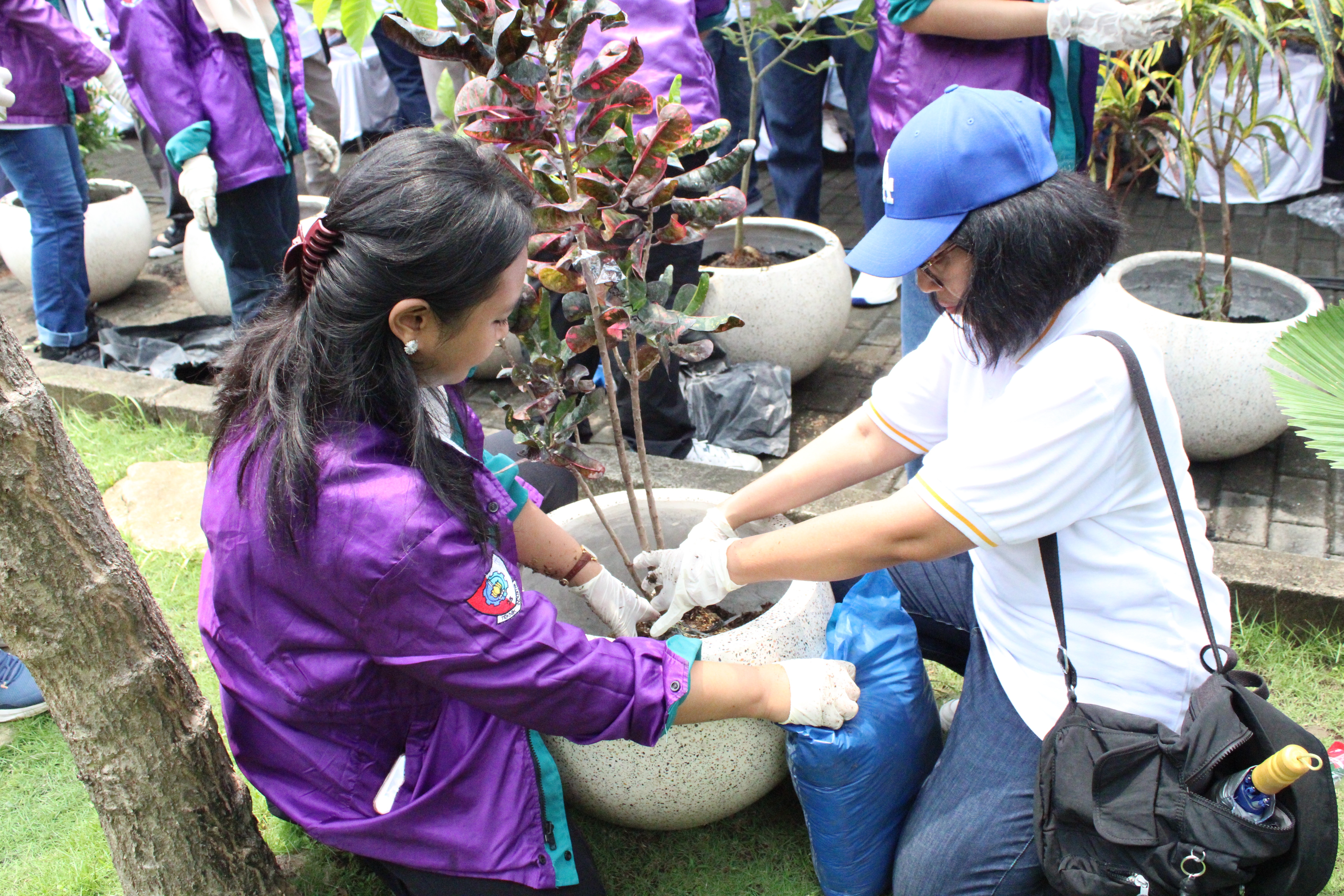 Gambar Alumni DTSI ITS dibantu mahasiswa saat melakukan penanaman bibit pohon sebagai upaya penghijauan kampus