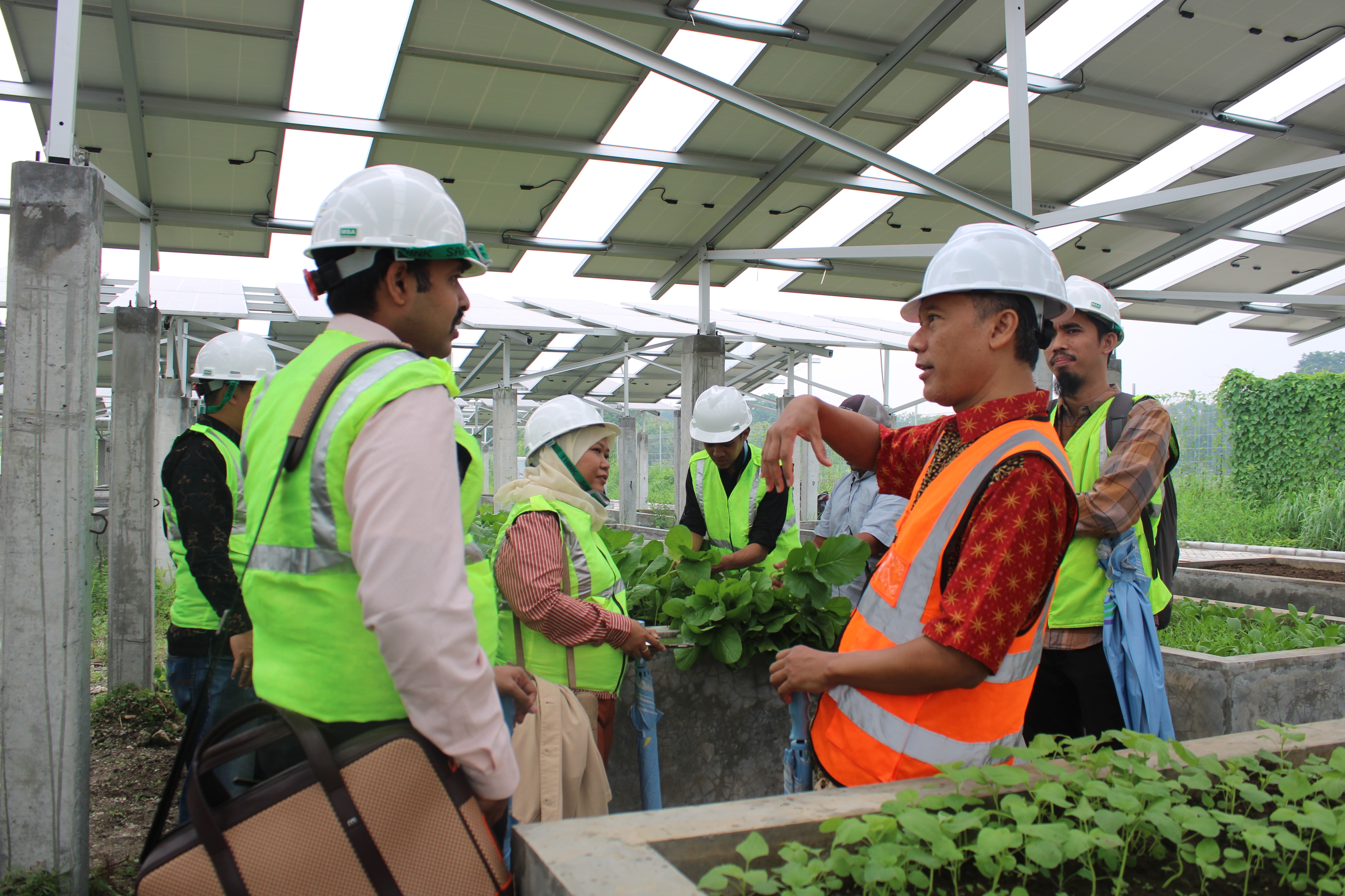 Gambar (depan kanan) Koordinator Program REIDI ITS Dedet Candra Riawan ST MEng PhD dan (depan kiri) Energy Advisor GIZ Imam Askolan dalam kunjungan ke REIDI ITS pada fasilitas agrovoltaic