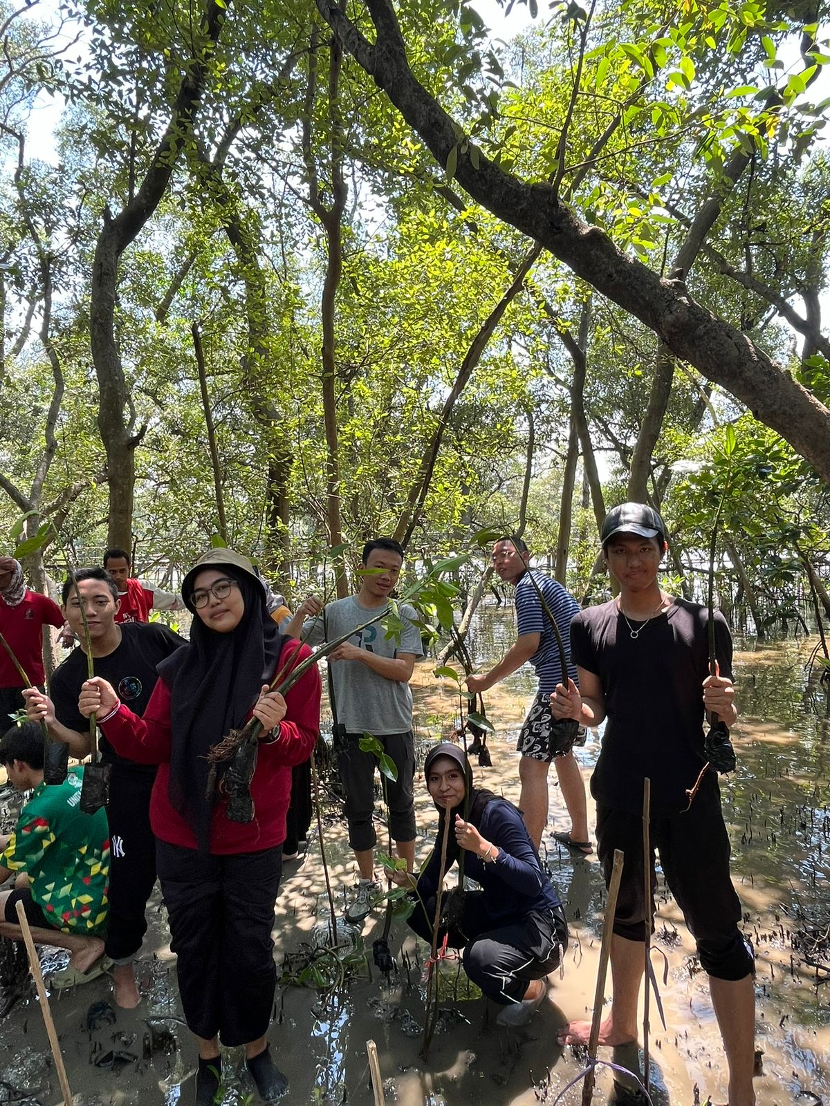 Aksi Penanaman Mangroove oleh Panitia dan Volunteer