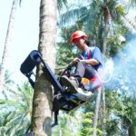 Mocits Bantu Petani Kelapa Panen Lebih Aman dan Efisien