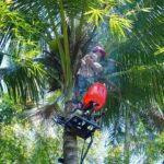 Kampus Tak Cukup Jago Riset, Menteri Amran Ajak ITS Turun ke Sawah Bangun Kemandirian Pangan