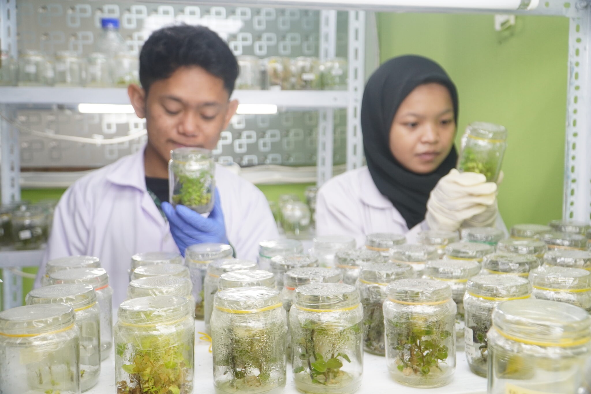 lulusan biologi bekerja di laboratorium sains