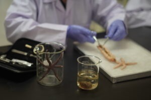 Departemen Biologi ITS