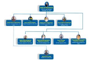 struktur organisasi_2025-2029
