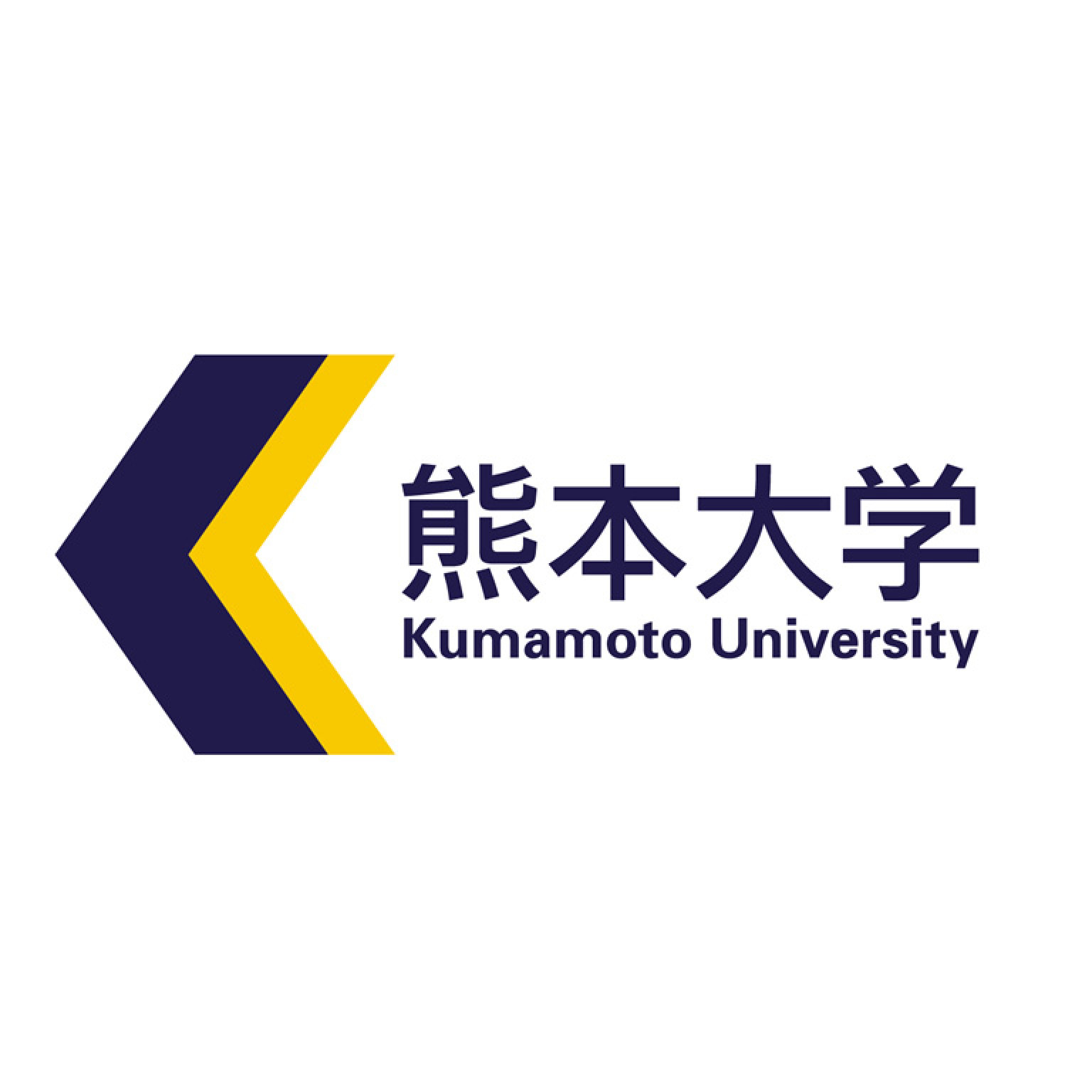 Kumamoto University Shortterm Undergraduate Exchange