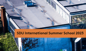 SDU International Summer School 2023