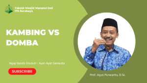 Kambing vs Domba