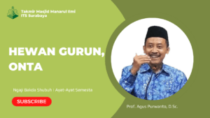 Hewan Gurun, Onta