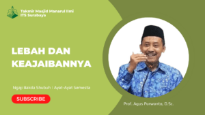 Lebah dan Keajaibannya