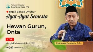 Hewan Gurun, Onta