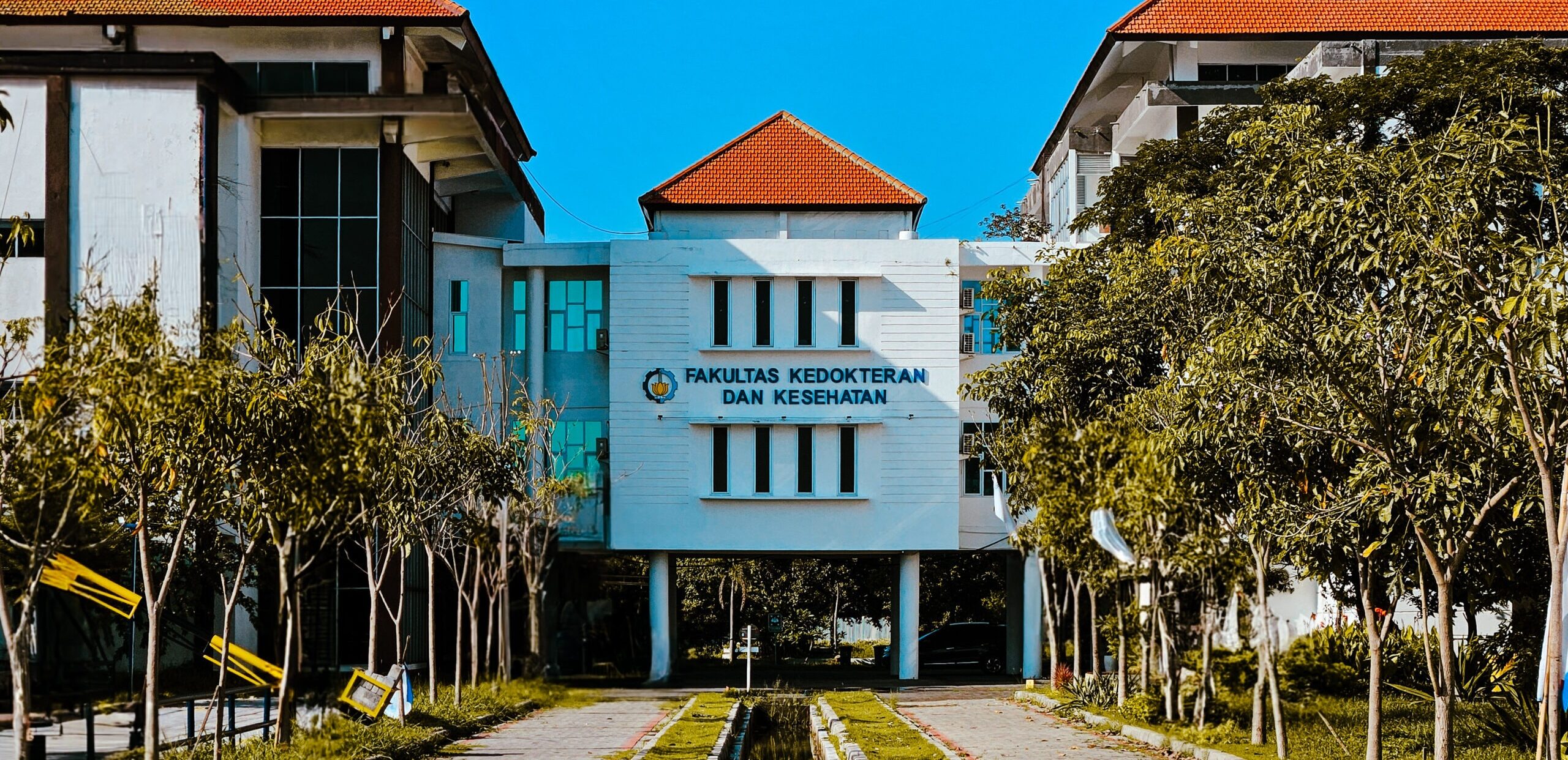 Muscle guys porno fagots va togri yigitlar Chiroyli yalangoch styuardessalarning yaqin plandagi fotosuratlari