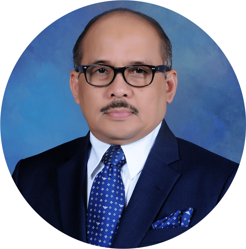 Prof. Dr. Ir. Triyogi Yuwono, DEA