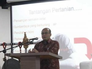 Agar Swasembada, Pertanian Harus Perhatikan Rantai Pasok