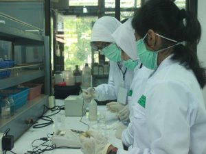 Eco Challenge Kenalkan Cara Memilah Sampah