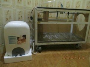Ciptakan Grooming Box, Tingkatkan Produktivitas UKM