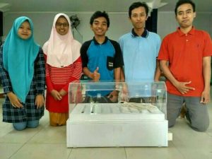 Bantu Rawat Bayi Prematur dengan Baby Cube