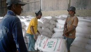 Perhutani Pesan Mesin Pengolah Sagu dari ITS