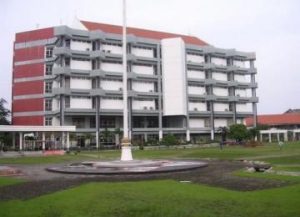 ITS Kembangkan Sayuran Organik
