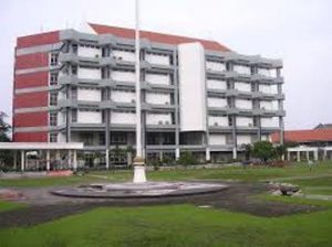 Peringati HUT, Gelar Nasi Murah
