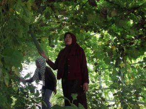 Bazar SayOr ITS, Berbagi Ilmu dengan Masyarakat