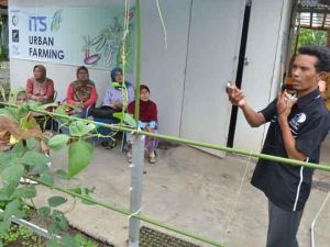 Ajarkan Cara Budidaya Tanaman Organik