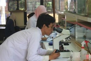 Grand Final, NBO Uji Siswa Jadi Peneliti