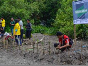 Semarakkan BOF Lewat Mangrove In Action
