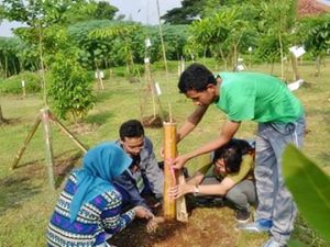Sulap Bekas TPA Jadi Taman Hijau