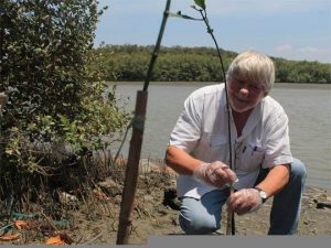 Martec, Ajak Peserta Tanam Mangrove