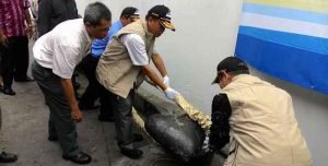 Indonesia Bisa Buat Kapal