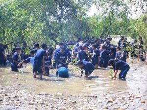 Peduli Lingkungan, HIMATEKLA Gelar Penanaman Mangrove