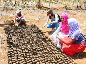 ITS Tanam 45 Ribu Kelor di Poteran