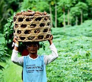 Indonesia Tanah Surga