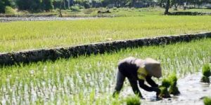 Belum Ada Anggaran, Tim Kajian Pengeboran Lapindo "Ogah" Kerja