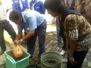 Kompas Buat Kompos untuk Kampus Manyar