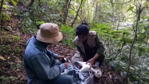 ITS Bantu Lombok dengan Pelacakan Jalur Pipa