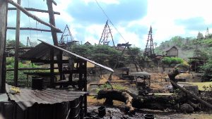 Limbah Rumen Pacu Pembentukan Biosurfaktan pada Remediasi Tanah Tercemar di Tambang Minyak
