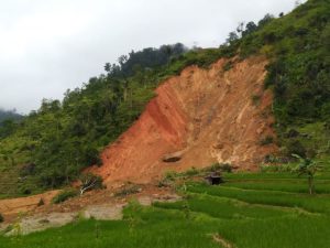 Panen Bencana Tahunan