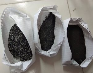 Mahasiswa ITS Manfaatkan Sekam Padi sebagai Masker Wajah