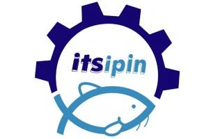 ITSIPIN, Hidupkan Ekonomi Desa dengan Olahan Ikan Patin