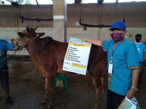 ITS Method To Fulfill Qurban In This Pandemic