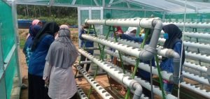 Sebanyak 1.225 Mahasiswa ITS Ikuti KKN Abmas di Jatim dan NTB