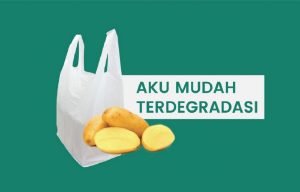 Mahasiswa ITS Gagas Plastik Ramah Lingkungan Berbahan Kentang