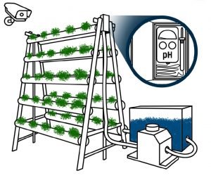 Gardellive, Gagasan Mahasiswa ITS Bantu Kembangkan Kebun Komunitas