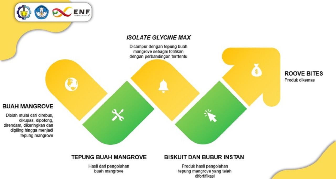 Proses pembuatan produk dari buah mangrove menjadi RooveBites yang siap dipasarkan